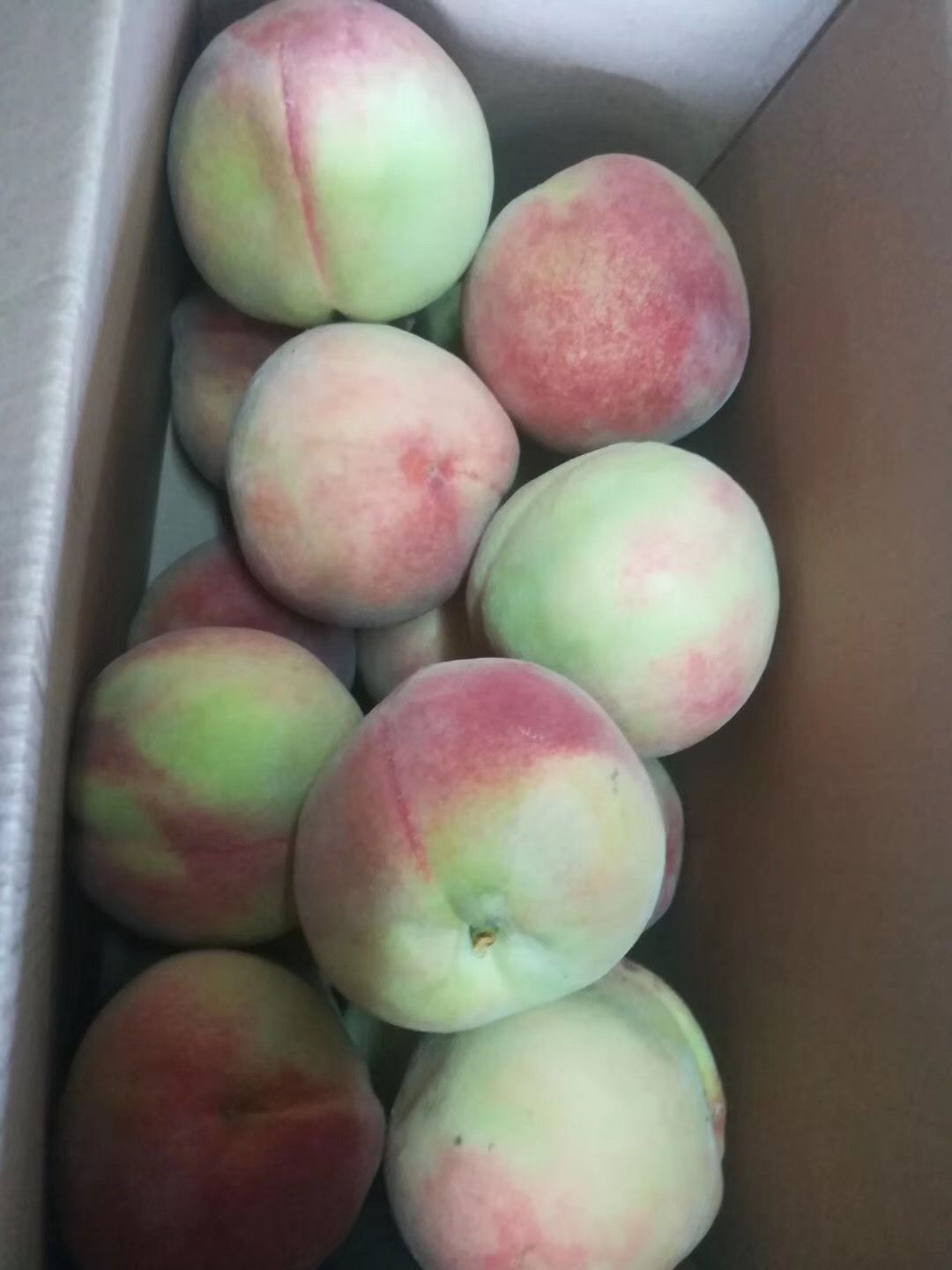 微信圖片_20190807165809.jpg